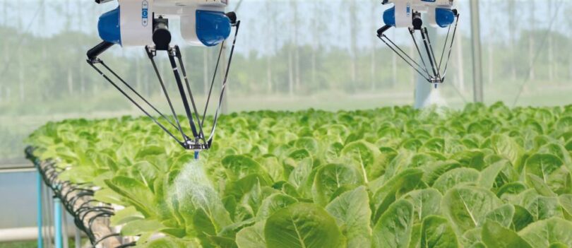 Robotic sprayers in a smart greenhouse misting rows of leafy green vegetables.
