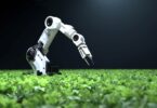 Autonomous robotic arm applying AI-powered precision agriculture in a crop field