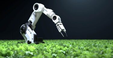 Autonomous robotic arm applying AI-powered precision agriculture in a crop field