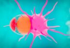 Microscope image symbolising HER2-positive breast cancer