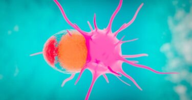 Microscope image symbolising HER2-positive breast cancer