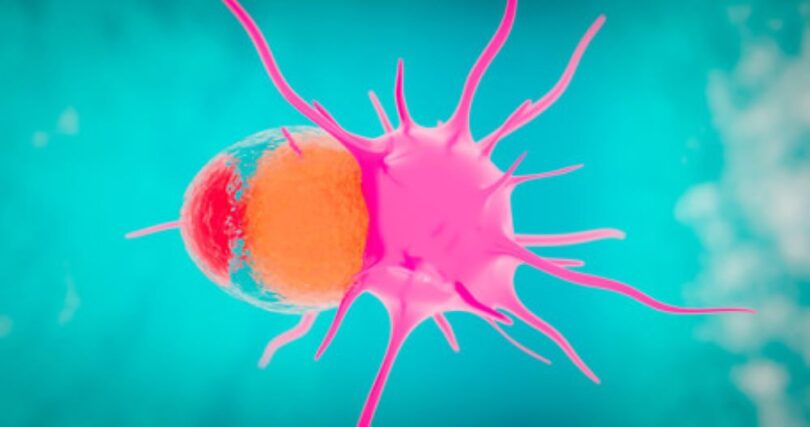 Microscope image symbolising HER2-positive breast cancer