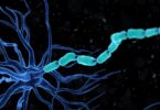 gene therapy delivery to brain cells