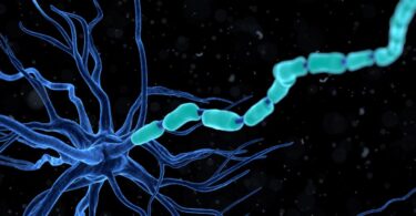 gene therapy delivery to brain cells