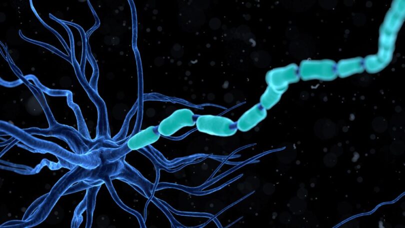 gene therapy delivery to brain cells