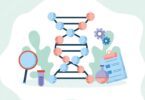 AAV gene therapy silencing DMPK expression in muscle cells