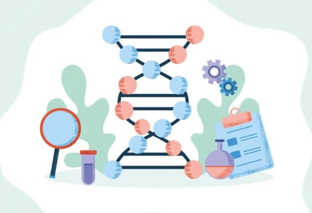 AAV gene therapy silencing DMPK expression in muscle cells