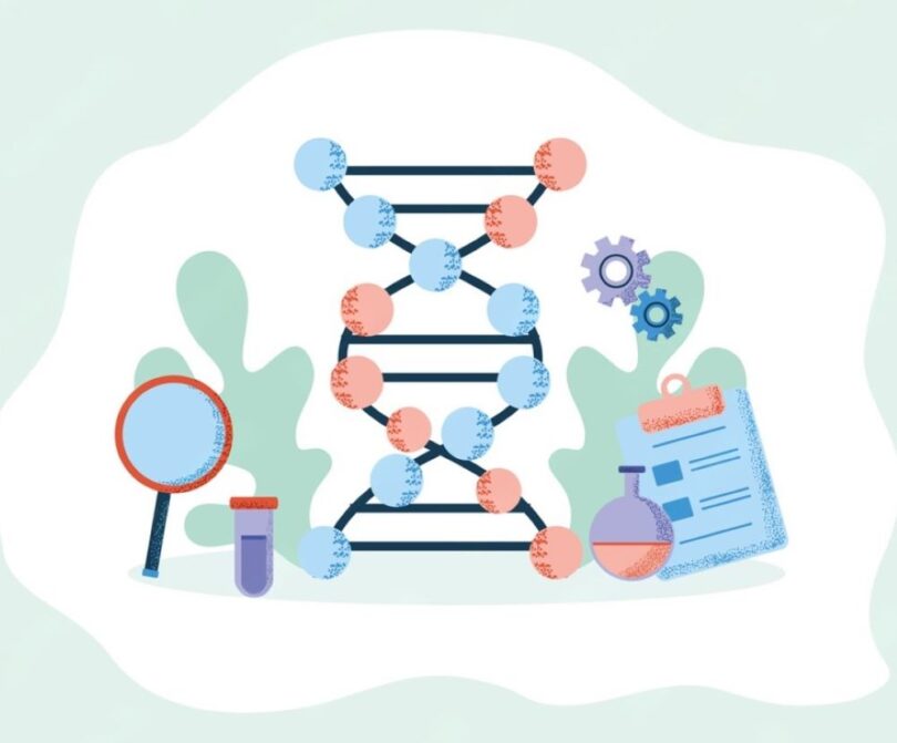 AAV gene therapy silencing DMPK expression in muscle cells