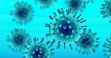 “3D rendering of virus particles representing infectious disease and pandemic threat.”