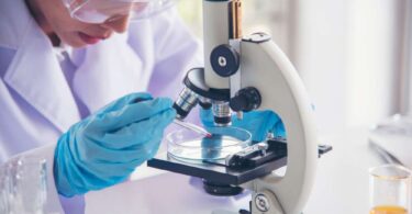 Breakthrough Therapy Designation for sevabertinib supported by oncology research