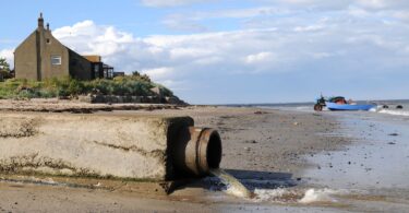 Wastewater flowing from a sewage outfall pipe onto a shoreline