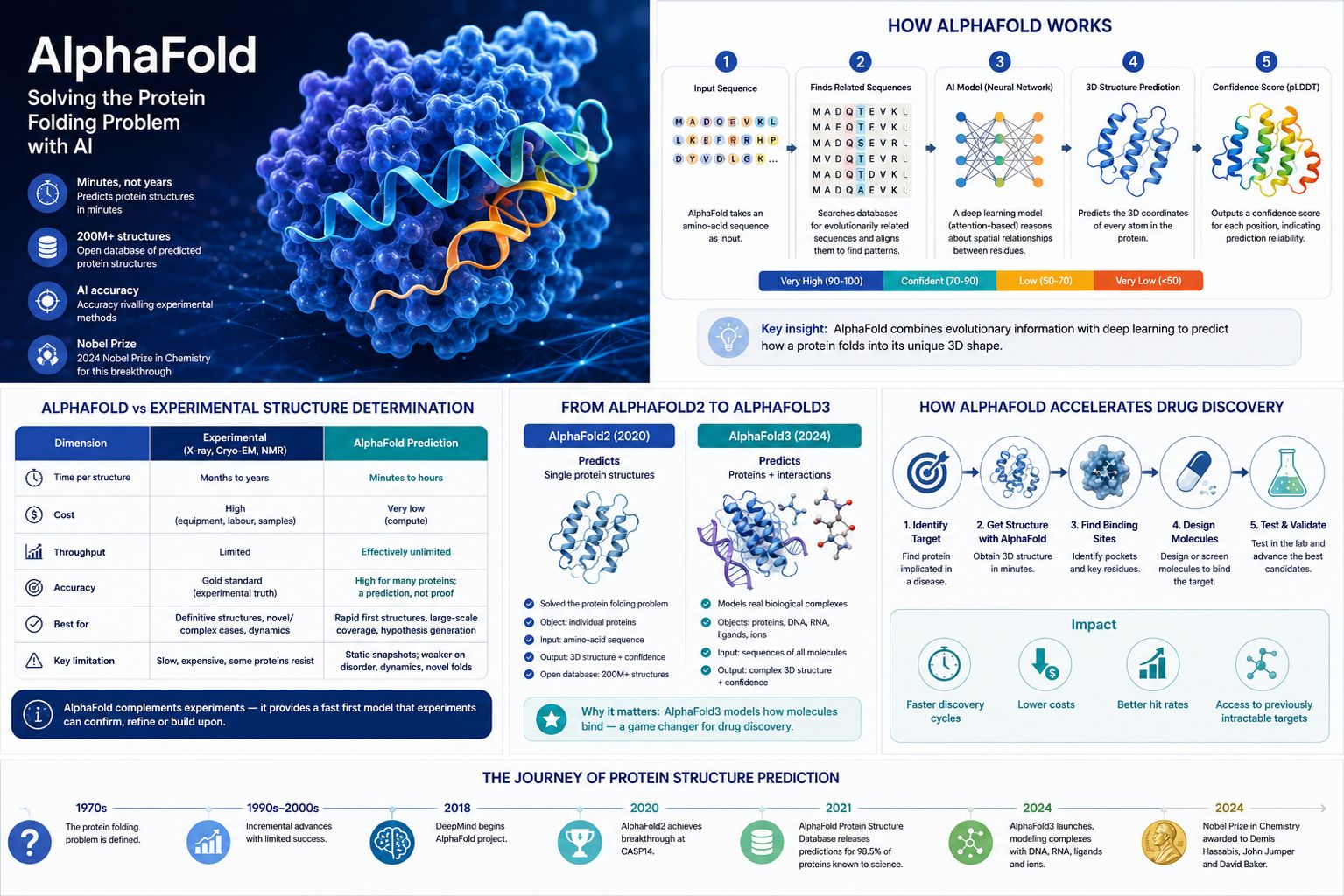 Infographic explaining how AlphaFold uses artificial intelligence to predict protein structures and accelerate drug discovery, including workflow diagrams, comparisons and key milestones.